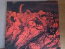 CATHARSiS PASSiON lp first press gorilla biscuits american nightmare nyhc punk