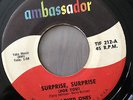 THE LOVED ONES Surprise Surprise AMBASSADOR GARAGE PUNK 45 HEAR