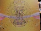DEVENDRA BANHART - WHAT WILL WE BE  LP ORIGINAL NEAR MINT