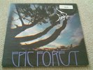 RARE BIRD epic forest UK POLYDOR ORIGINAL PROG LP WITH 7