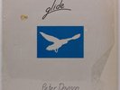 PETER DAVISON Glide LP PINA NM VERY RARE Private Issue New Age