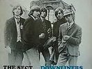 DOWNLINERS SECT - THE SECT (RARE ALBUM)