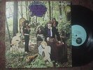 Little Boy Blues LP in the Woodland of Weir