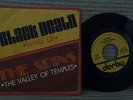 THE SPINS 45  VALLEY OF TEMPLES SPACEY ITALO COSMIC FUNK DISCO DUB LISTEN