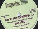 VICKI LABATT - GOT TO KEEP HANGING ON - GUITAR RAY - GONNA WRECK MY LIFE