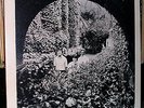 SEARCH PARTY Montgomery Chapel (Century 32013) Original press Near Mint LP Psych