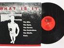 VA What Is It LP What? Rec. W12-2403 US 1982 VG++LA PUNK COMP Ft.The Dils, Germs