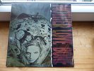 MOTHER LOVE BONE  / APPLE    1 LP