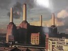 PINK FLOYD - ANIMALS - NL 77