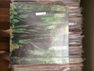 Promise Ring Wood Water Lp Vinyl Oop Rare Jade Tree Nothing Feels Good