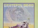 GRATEFUL DEAD  2XLP THE CRYPTICAL ENVELOPMENT NOT TMOQ