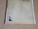 Babyshambles Down In Albion Vinyl Lp