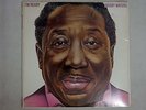 MUDDY WATERS I'M READY BLUE SKY PZ 34928 US Pressing Vinyl LP