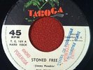 Panama Latin Psych Fuzz Rock 45 The Truth