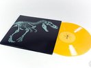 RARE Jurassic Park (Amber variant) Vinyl Mondo Dan McCarthy SOLD OUT LP OST
