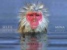Mina  Selfie  LP Vinile  Nuovo Sigillato