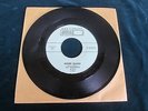 The Gamblers-Moon Dawg LSD 25 - 45 Record World Pacific X-815 vintage Surf Music