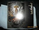 Peter Ivers Band Knight Of The Blue Communion Demo Not Reissue 1st Pressing Epic