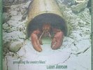 SCARCE BLUE HORIZON LP Larry Johnson Presenting The Country Blues (1969)