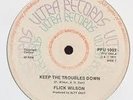 FLICK WILSON - KEEP THE TROUBLES DOWN (KILLER ROOTS) LISTEN ?