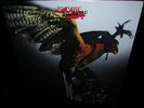 CLEAN 1974 ORIG = BUDGIE = IN FOR THE KILL   HARD HEAVY SABBATH Psych Metal