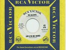 THE LOLLIPOPS   Love Is The Only Answer   northern soul promo RCA 8390