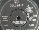 Little Richard - Poor dog ( can wag his own tail )