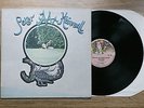 PETER HAMMILL Chameleon In The Shadow Of The Night LP NM/NM UK 1st 1973 CAS1067