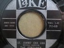 * FORTUNES St. Johns Cha Cha/Runnin RARE POPCORN TITTYSHAKER GARAGE Lake 45 HEAR