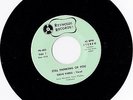 Steve Parks- Still Thinking of You 45 Reynolds rare sweet deep soul funk HEAR