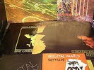 Skeletal Family vinyl Burning Oil Ghosts Futile Combat She Cries Alone The Night