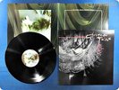 COCTEAU TWINS 