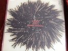 Mercier, Descloux, Lizzy : Mambo Nassau