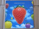 LIGHTNING SEEDS Jollification VERY RARE ORIGINAL 1994 UK LP EXCELLENT COPY