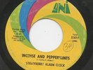 STRAWBERRY ALARM austin powers 45 killer PSYCH MOD dancer ORGAN freakbeat HEAR??