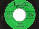 MUSHROOMS burned / such a lovely child HEAR BOB SEGER 60s garage BEAT mod PSYCH