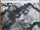 GAP MANGIONE Diana In The Autumn Wind ORIGINAL 1968 LP SUPERB