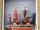 Bleed American LP by Jimmy Eat World in Near Mint Condition