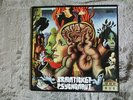 Brainticket,Psychonaut( KRAUT PROG PSYCH) (Bellaphon)
