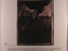 PIXIES: Surfer Rosa LP Sealed (repress) Rock & Pop
