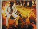 BERNARD FANNING - TEA & SYMPATHY - RARE ORIGINAL LP POWDERFINGER MINT CONDITION