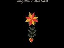Songs: Ohia Magnolia Electric Jason Molina LIONESS Rare Split 7