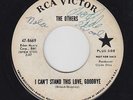 THE OTHERS I Can't Stand This Love, Goodbye 45 on RCA killer garage punk HEAR