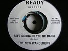 THE NEW WANDERERS-AIN'T GONNA DO YOU NO HARM/LET ME RENDER-READY
