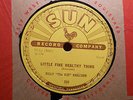 BILLY 'THE KID' EMERSON Little Fine Healthy Thing/Something For Nothing SUN 233