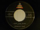 Prodical Sons 45 LONG HAIR BLUES bw I'VE A FUNNY KIND OF FEELING VG- Michigan
