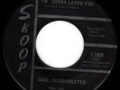 SANZ, INCORPORATED - I'M GONNA LEAVE YOU - INDIANA 1966 GARAGE 45 - HEAR