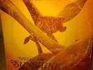 Ambassador College Band Spread Some Sunshine PRIVATE Soul Funk Psych LP
