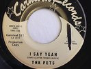 THE PETS - I Say Yeah/West Side Party - RARE Girl Group Soul 45 on CARNIVAL WLP
