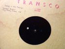 * ACETATE ** Rockin' Robin TERRY & THE PIRATES My Baby Needs Me GARAGE Psych 78